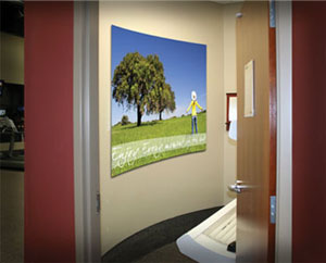 Large Format Graphics